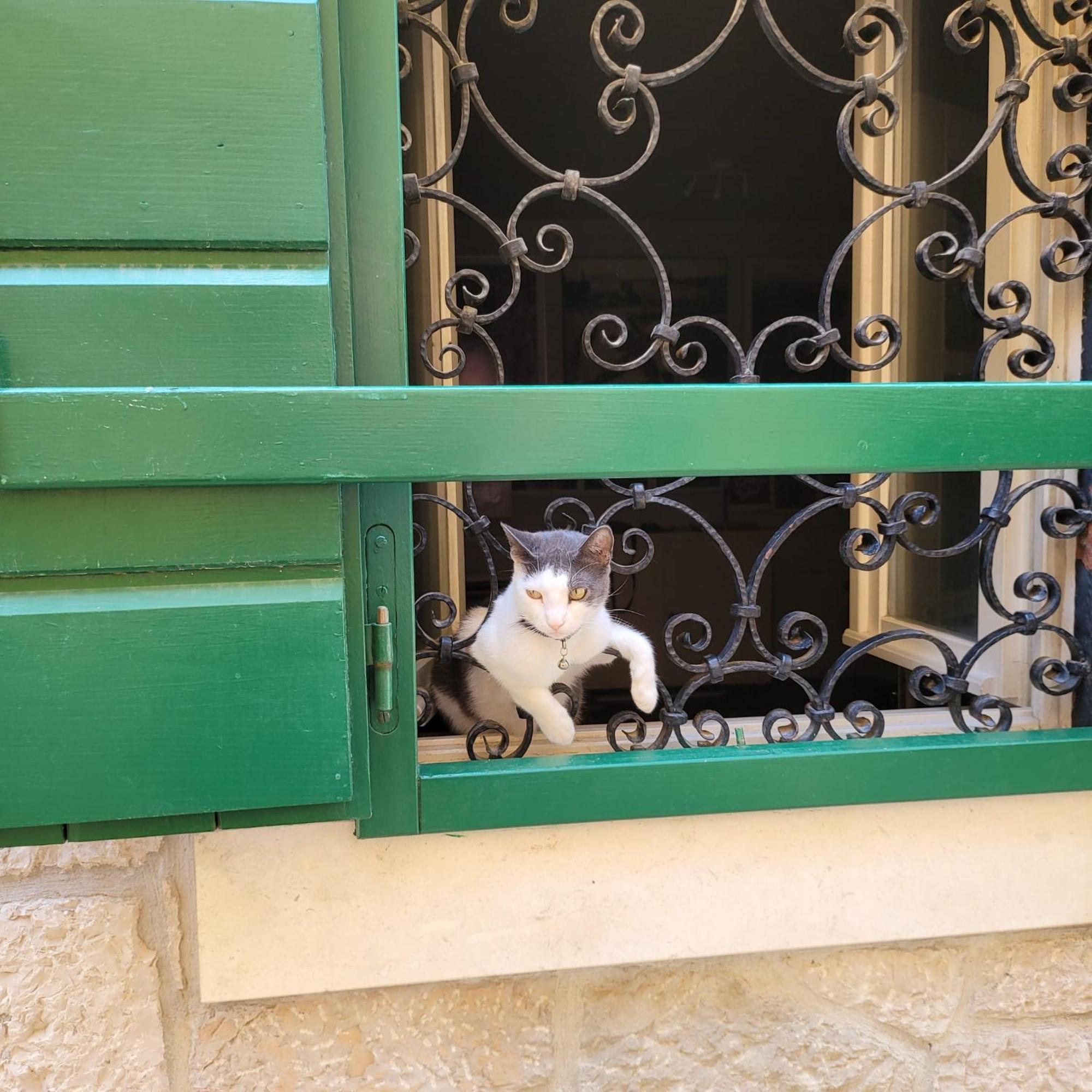 Apartmani Linda فوديس المظهر الخارجي الصورة