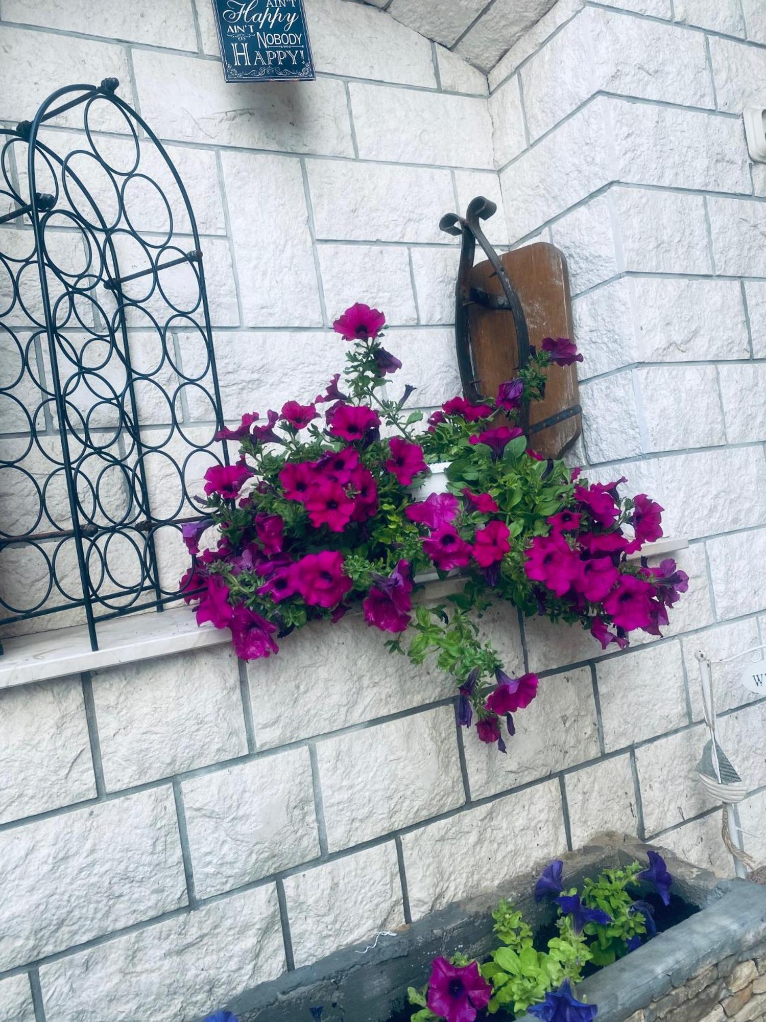 Apartmani Linda فوديس المظهر الخارجي الصورة